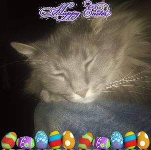 Meet your Posher, Edith